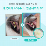 바이랩 덴탈 스프레이 강아지 구강 입냄새 치석 제거 뿌리는 치약 치아관리 60ml, 2개 : BYLAB