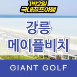 강원도골프패키지 강릉 메이플비치 골프앤리조트 : 자이언트골프 국내해외 예약