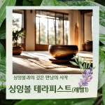 국제히말라얀 싱잉볼 테라피스트 (level1) 과정 : 심력명상 치유센터