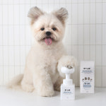 바이랩 수분풋케어 강아지 발바닥 세정제 산책 비누 발사탕 발 습진 샴푸 본품, 240g, 3개 : BYLAB