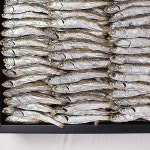 은멸치선물세트 : 명진   스토어