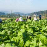 남원 현식당 프리미엄 추어탕 블랙 제피/들깨 X, 700g, 5개 : 김씨언니마켓