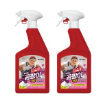 홈스타 뿌리는곰팡이싹 곰팡이제거제 900ml, 2개 : 하우저스