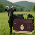 내몸에참진 국내산 흑염소진액 흑염소즙 옻닭발진액 가미 90ml 30포 : 모두의통로