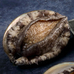 [꼬복상회] 완도 산지직송 활전복 1kg 사이즈별 다양 당일조업 왕특대 사이즈까지 선물용 : 꼬복상회