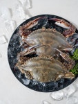 제철 햇 활 숫 꽃게 가을 봄 알배기 암꽃게 1kg 급냉 : 주식회사 엄마수산