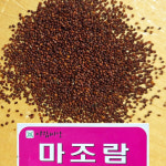 2024년1월포장 마조람씨앗 2500립 마조람 : 이파주