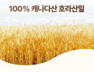 포도팜 구운 흑마늘 생강 치커리뿌리 플로라 효능 식이섬유 3개 : 포도팜팜