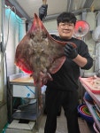 국내산 목포 홍어 흑산도 대청도 삭힌 홍어 숙성 홍어 500G 1KG : 뻘이랑 낙지랑