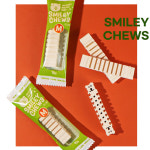 스마일리츄 구강케어 덴탈껌 200g 4개 : 주식회사 바른생활