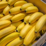 당도킹 통통 바나나 필리핀 베트남 2송이 1박스 (개당 1~2kg 내외) : 과일통통배