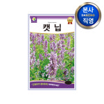 캣닙 씨앗 1g 캣닢 캣잎 개박하 허브 고양이풀 캣민트 키우기 꽃씨 종자 : 다농원예가든