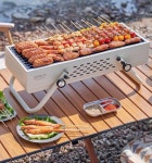 바베큐 정원용 펜션 숯불 스테인레스 팬션 스틸 양꼬치 야외오븐 63cm 접이식 럭셔리 스타 블랭크 오븐 : 차세대마트