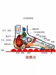 마사지 지압 매트 순환 돌맹이 정장 마사지패드 발지압판 경로당 초 맨발걷기 돌판 블루 지름 55cm : 오버시마켓일