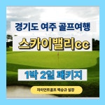 경기도 여주 골프패키지 1박2일 회원제 스카이밸리cc 예약 안내 : 자이언트 골프여행