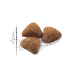 로얄캐닌 고양이 사료 인도어, 2kg, 1개 : 펫 마트