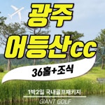 광주에서 근접한 어등산cc 36홀 골프패키지 : 자이언트1박2일골프