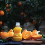 제주랑 100% 착즙 감귤주스 320ml (1입) : 파스퇴르365