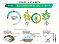 대유 총진싹골드 250ml 유기농업자재 총채 진딧물 나방 백강균 비티쿠르스타키균 : 팜트랜드