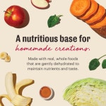 (+N포인트) 디어니스트키친 탈수건조사료 베이스믹스 그레인프리 프루트+베지, 1.36kg, 1개 : 개고몰.