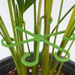 우영스타 식물 지지대 지주대 가드닝 텃밭용품 : 우영storee