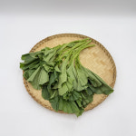 무농약 친환경 아욱 for 이유식 (세뚜리꾸러미) : 홍성로컬푸드협동조합