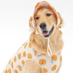 [해충방지] 강아지모자 강아지 썬캡 대형견 애견 여름 모자 플라워옐로우 S : 포우에블 pawavel