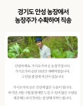 오가피순500g 혼합순기획 : 민지네오가피