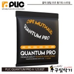 PLIC - Quantum Pro A 1253QT 플릭 퀀텀프로 통기타 스트링(012-053) : 구일악기
