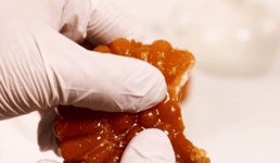 장인약과 파지약과 의정부 전통 한과 수제 찹쌀 장인더 간식 : 한나네김