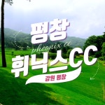 평창 휘닉스cc 1박2일 패키지 18H 조인OK 충북골프장 36홀 : 우리-남해사우스케이프CC