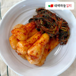 태백하늘 총각김치 : 태백하늘김치
