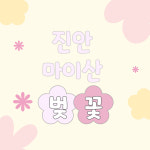 [강남테마여행사] 당일여행 부산출발 진안마이산 벚꽃 꽃잔디 축제 : 강남테마여행사