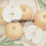 Destiny1990 신고 배 가정용 15kg(13-20과) (상) 가정용배 : 놓칠게없소-라온제나