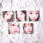 아일릿 비공굿 랜박 1.5배 도무송 포토카드 프리쿠라 : 리윤이네