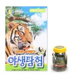 자연은살아있다 야생탐험 중형 유아 유치원 어린이집 교재용 교육용 교재완구 곤충모형 공룡모형 : 007BUY