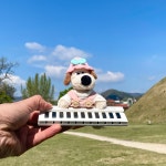 귀여운 캐릭터 주차번호판 그로밋 자동차 전화번호판 차핸드폰번호 새차선물 : 키다리할인점