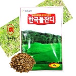 농사농 한국 들잔디 대포장 잔디씨 대용량 잔디 씨앗 50g : 농사농