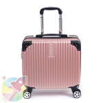 GR 미니 캐리어 18형 로즈골드 여행케리어 홈쇼핑캐리어 : 황금코뿔소
