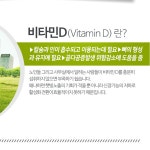 조인트 엠에스엠MSM  1500 1375mg x 120정 비타민D 글루코사민 칼슘 상어연골분말 마그네슘 감자전분 생선콜라겐 : 조이투데이