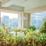 서울 홍대 자연광 렌탈스튜디오 공간대여 파티룸 유튜브 제품촬영 셀프 웨딩 합정 : 스탠다드무드