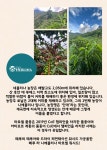 페루 라 니에블리나 마르셸 워시드100g : 하모니 커피