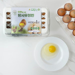난각번호 1번 계란 자연을담은 자연방사유정란 무항생제 대란 15구 : 주식회사 푸드코리아