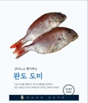 도미 완도 연숙이네 생선가게 자연산 반건조생선 : 빤짝이