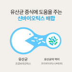[정기구독/2개월분] 키즈 생 유산균 프로바이오틱스 2박스 : 마미앤대디