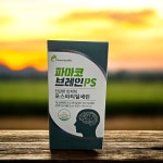 파마코브레인PS 30포, 1개 : 공구마켓 365
