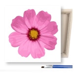 DIY 페인팅 캔버스 물감 붓 세트 한송이 코스모스 : 주식회사유마켓