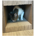 테비 플레이그라운드 스크래쳐 고양이 장난감 숨숨집 옐로우 하우스, FREE(One size) : 주라 ZOORA