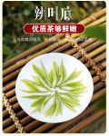 [2-20] 안길백차(고산녹차) 우전 청선회첨 절강 호주 특산 125g x 2 by 안길송희차창 : 운남상회 티다차이