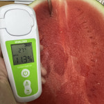 원두막맛있는수박농장 봄수박6kg배달 못난이수박7kg : 제철 계절 특산물